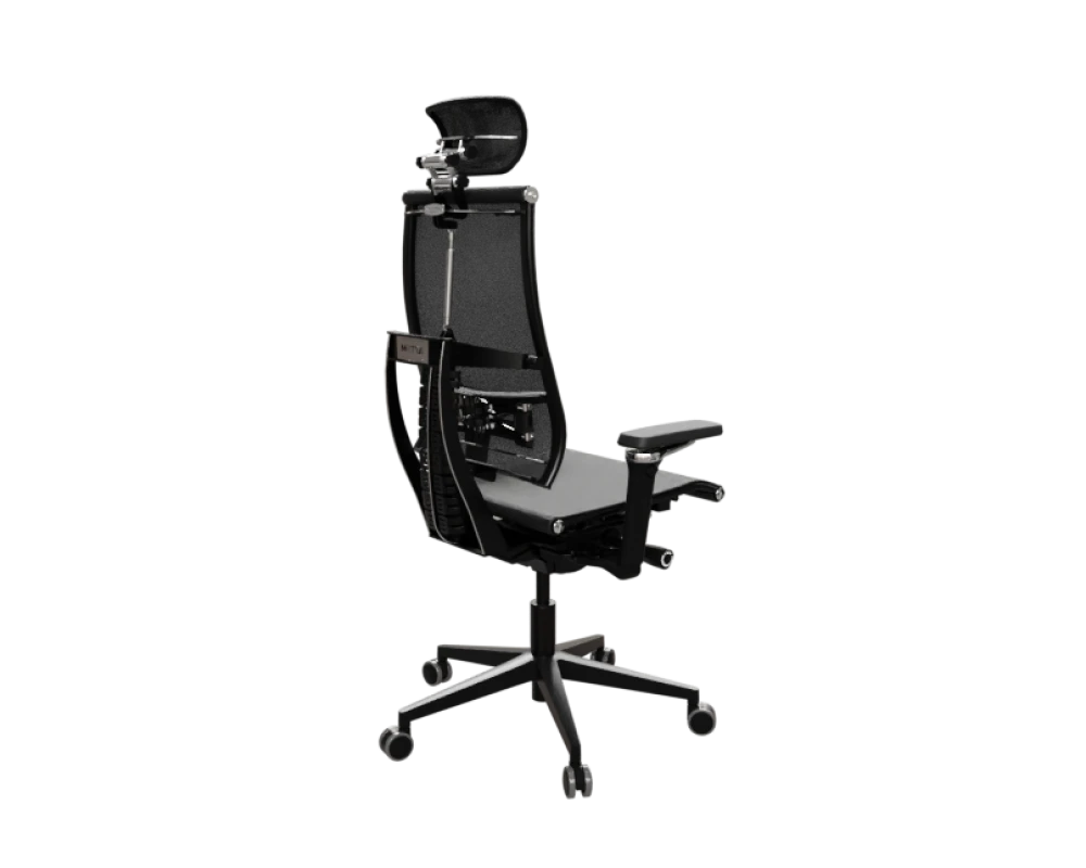Кресло Yoga Spine Black Edition (Черный 624.F.4D.A9)